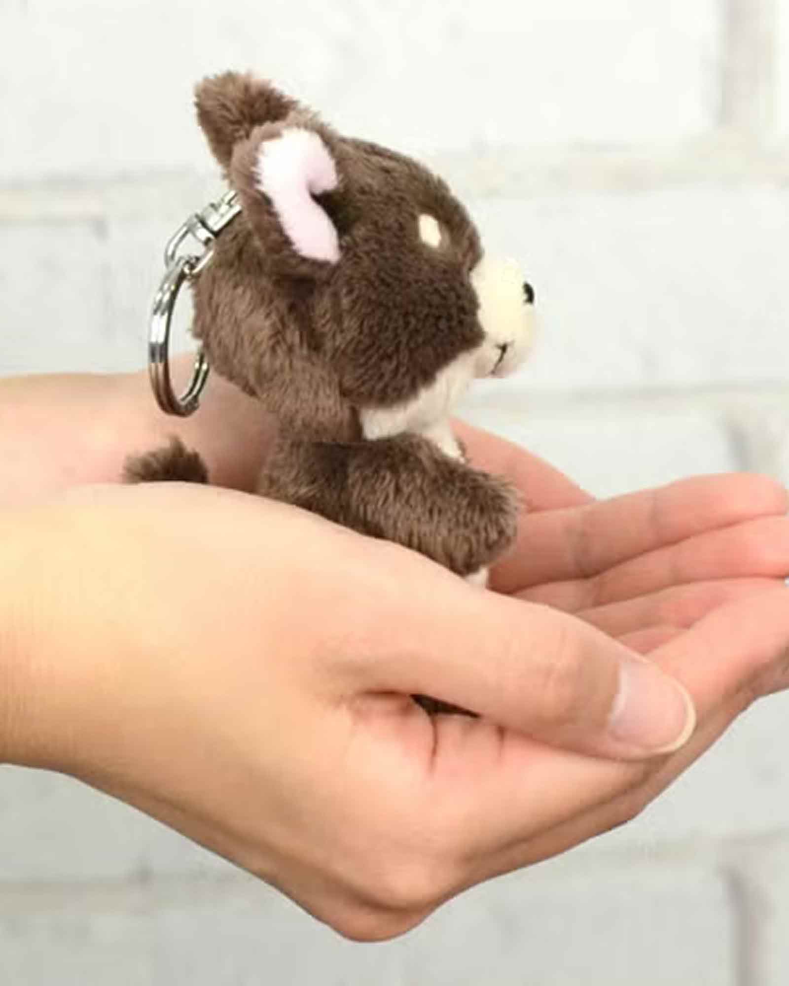 NICI・ニキ - グッズ BB チワワ 10㎝ / MULTI