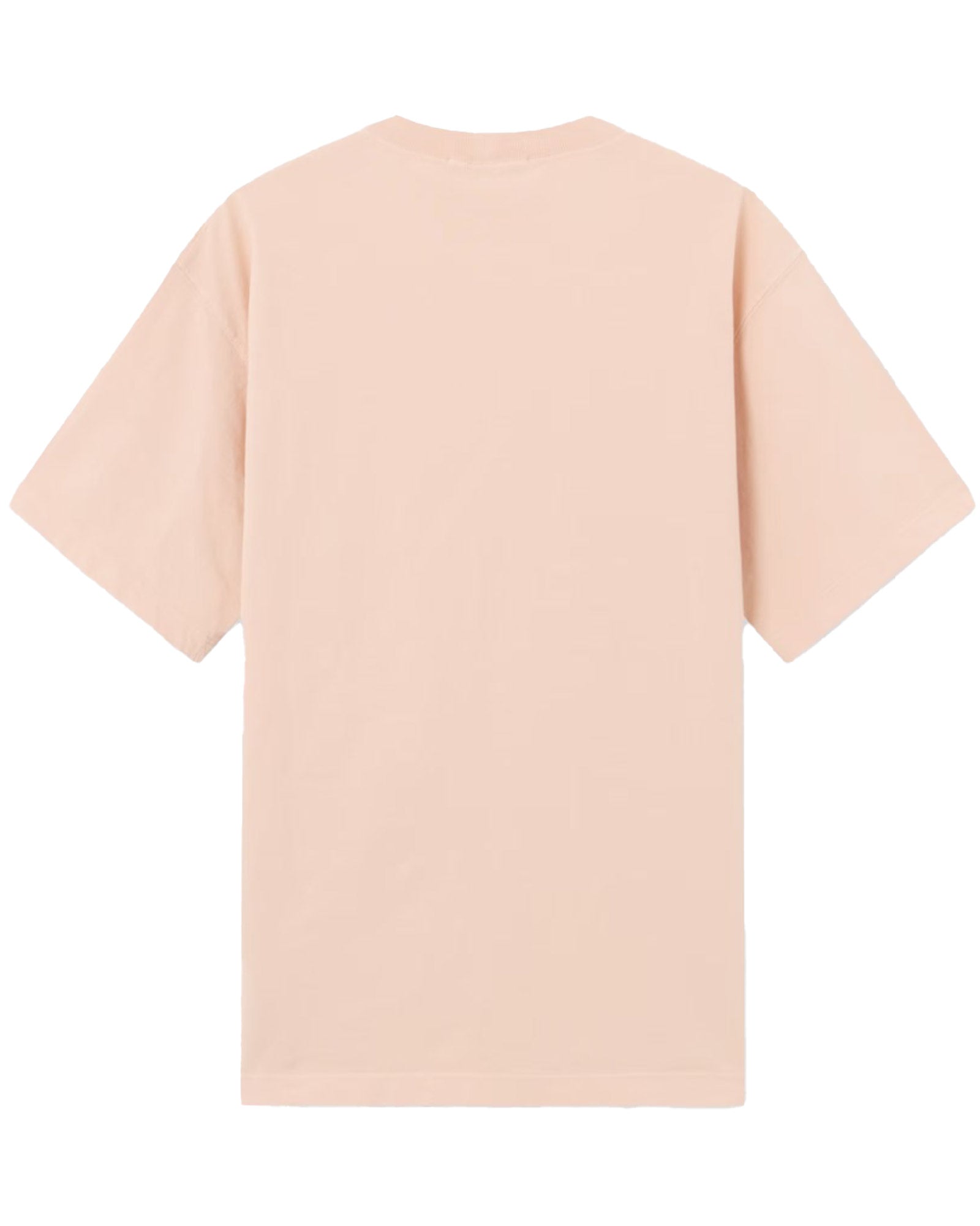 STONE ISLAND(ストーンアイランド) SS SS T-SHIRT 26SS-53 / PLASTER