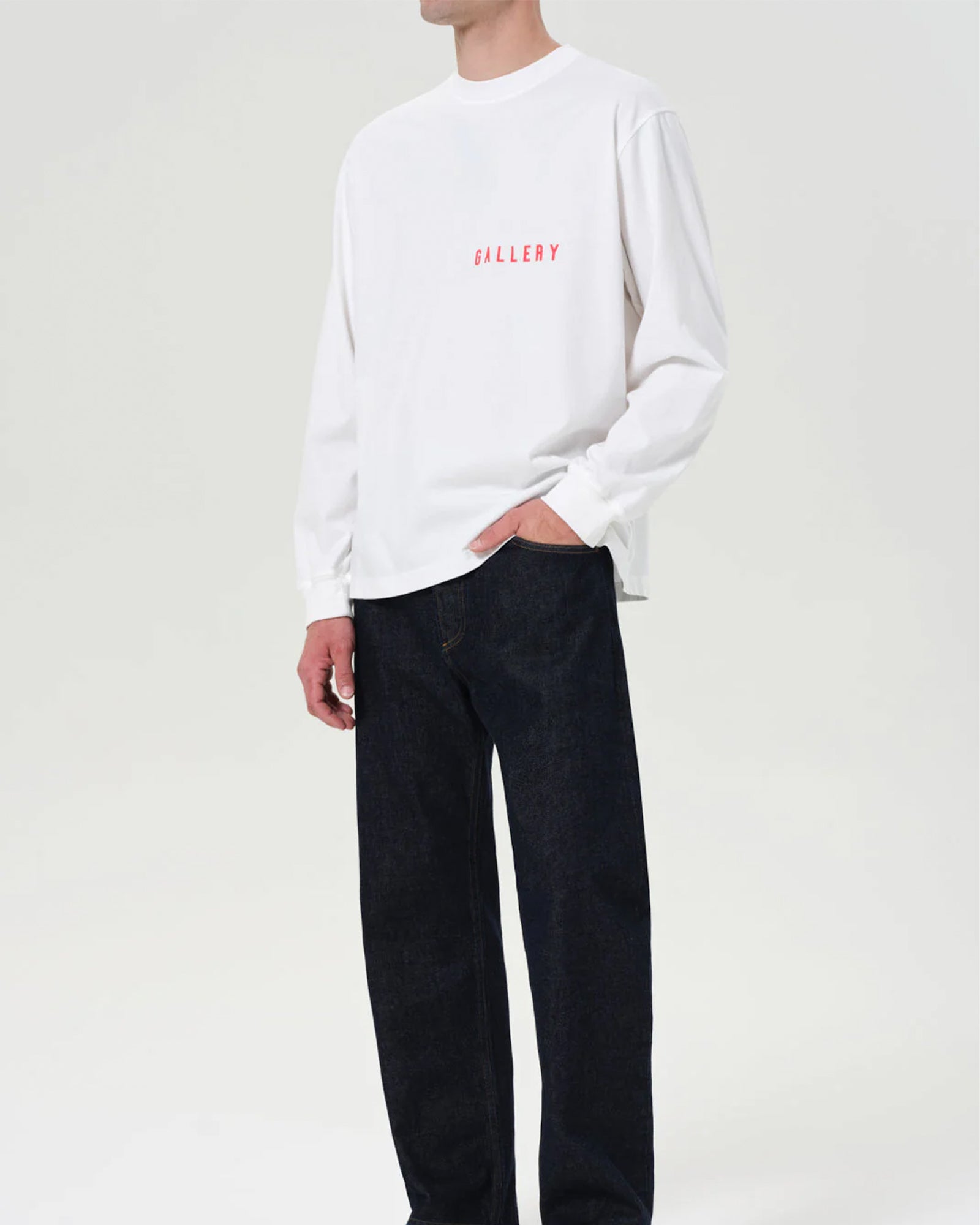 RSVP・アールエスブイピー - L/S Tシャツ AGOLDE LONG SLEEVE MOCK NECK / WHITE
