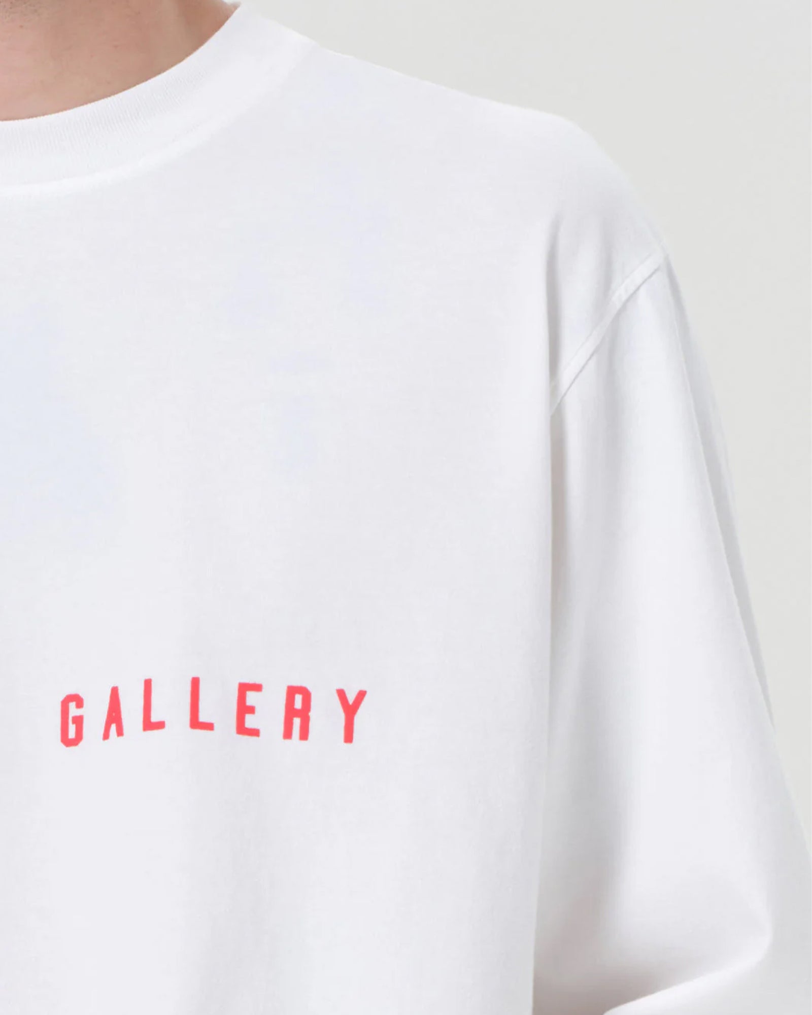 RSVP・アールエスブイピー - L/S Tシャツ AGOLDE LONG SLEEVE MOCK NECK / WHITE