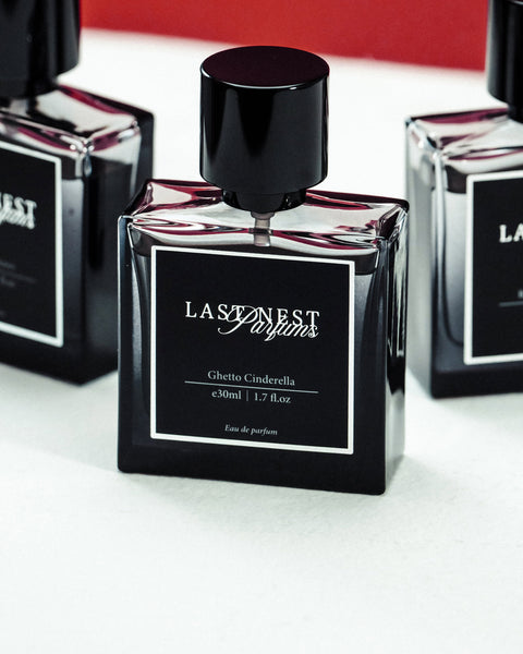 LAST NEST (ラストネスト) AW25 GHETO CINDERELLA | Detail
