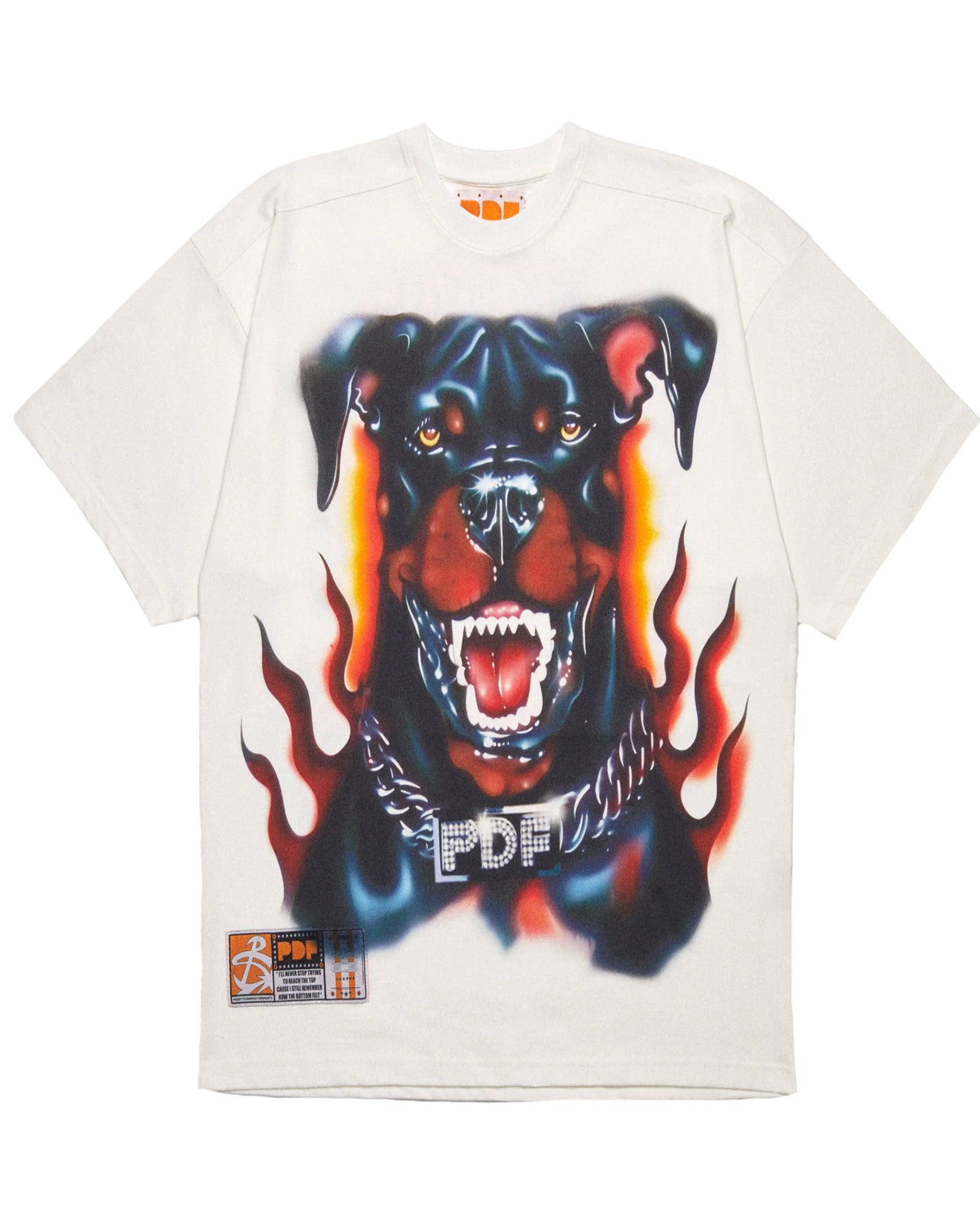 THE BOY WHITE DOG / WHITE