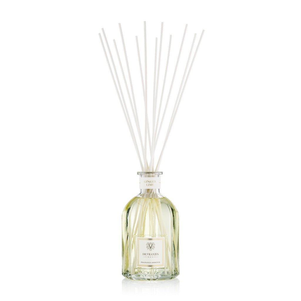 DF GINGER LIME / 500ml