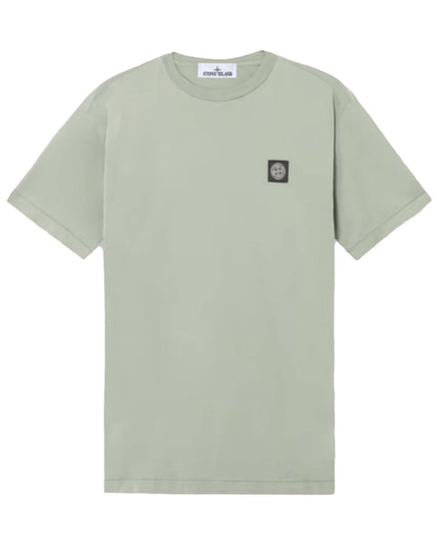ss-t-shirt-sage-406016_grande.